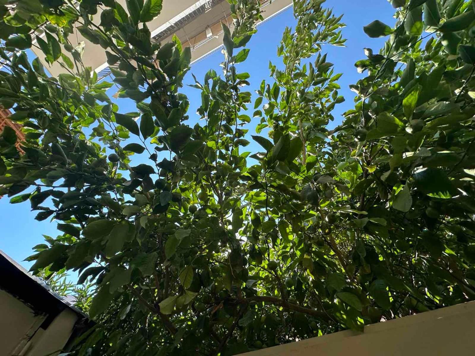 Green Spot Apartments Athen Exterior foto